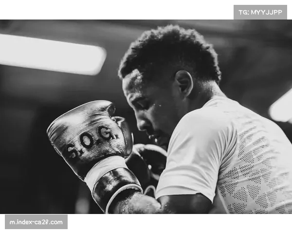 罗威下放发展联盟增强训练,预计本月复出 罗威下放发展联盟增强训练,预计本月复出